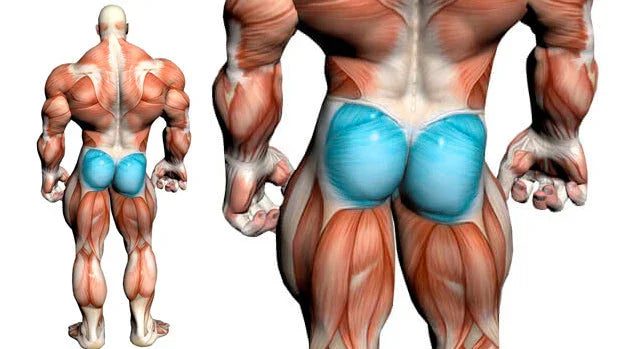 Sculpt Stronger Glutes at Home: The Ultimate Bodyweight Workout Plan