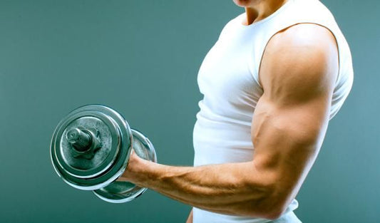 The Ultimate Guide to Arm Training: Best Exercises for Massive Gains