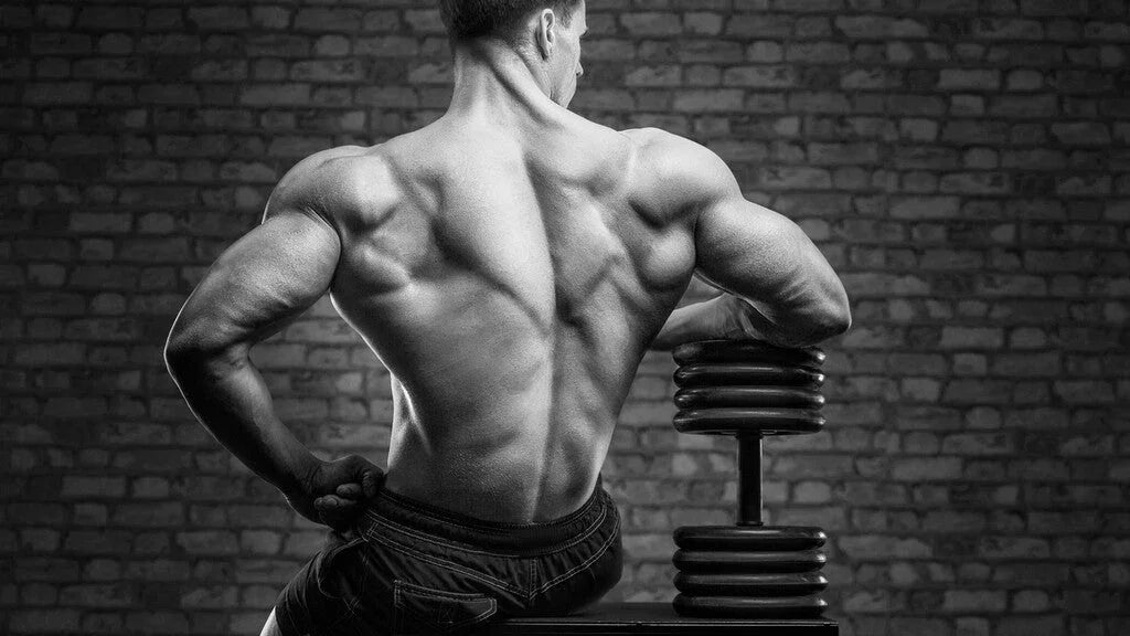The Best Shoulder Exercises to Build Big, Strong Shoulders
