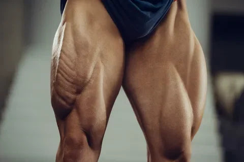 How to Grow Your Quads: Top Exercises for Stronger, Bigger Thighs