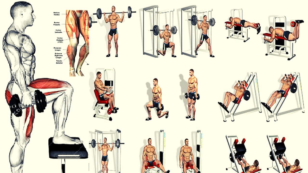 18 Best Leg Exercises myovv