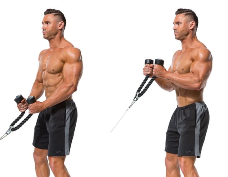 The Ultimate Guide to Bicep Cable Curls for Maximum Growth